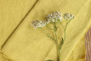 Atelier Végétal Créatif avec M.A Nature : Teinture Végétale