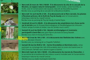 ABC de la biodiversité : à la découverte du marais du Chancelier