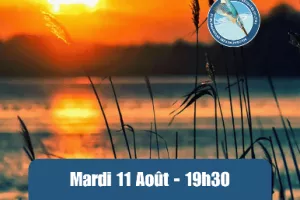 Estivales - Mardis soir au bord de l'eau - Marcilly-en-Gault