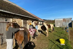 Été actif - visite active de ferme