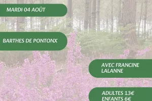 A la découverte des plantes sauvages, médicinales et comestibles avec Francine