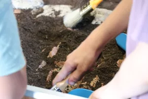 Atelier Fouiller comme un archéologue / 4-6 ans