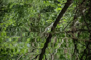 Exposition photos « Le Marais, conteur de beautés » par Sandrine Messéan à Niort