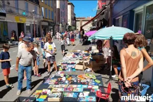 Vide grenier - Puces de l'été