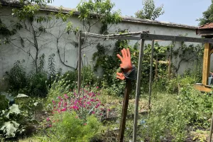 Ateliers de jardinage avec l'association de Culture(s) en Herbe(s)
