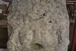 Visite des salles d'archéologie et paléontologie.