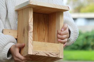 Construction d'une mangeoire à oiseaux  à Terres d'oiseaux