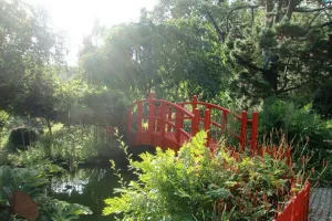 Pause Patrimoine : les jardins acte 2 le jardin botanique