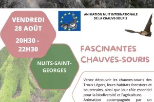 Fascinantes Chauves-souris