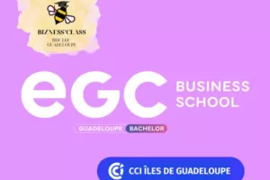 Micro-trottoir by EGC Business School Guadeloupe 🐝