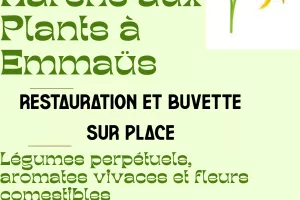 Marché aux plants à l'Emmaüs montagne limousine