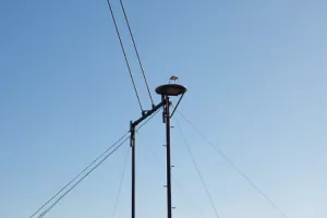 La balançoire  géante - Saison Ah ?
