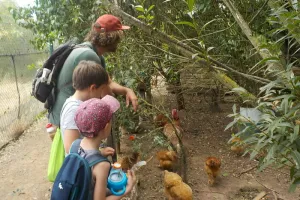 Séjour 6-8 ans "Les Pitchouns à la ferme" 5 jours