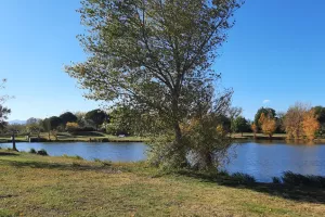 LES « GUINGUETTES DU LAC »