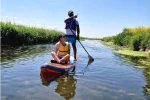 Balade en paddle/canoë-kayak sur l'Aure