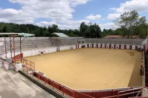 Course landaise