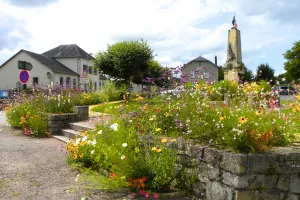 Balade patrimoine & fleurs : une journée au cœur de l’art de vivre rural