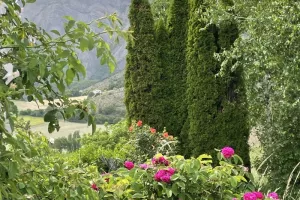 Visite découverte du jardin botanique