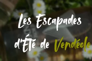 LES ESCAPADES D'ÉTÉ DE VENDÉOLE - VIGNES & VERRES