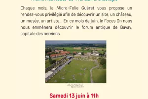 Focus On Forum Antique de Bavray
