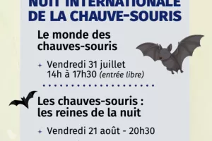 Les chauves-souris : les reines de la nuit