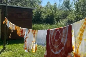 Atelier des p'tits curieux : "Immersion à la ferme : Une palette de couleur pour les lapins et cochons d'Inde!!"