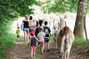 La fête de LamaZ