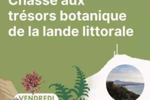 Chasse aux trésors botaniques de la lande littorale à Erretegia - CPIE Littoral basque