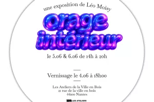 Orage Intérieur - Exposition de Léo Moisy