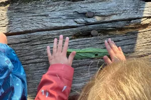 Eveil à la nature spécial 18 mois - 4 ans : A la recherche des petites bêtes