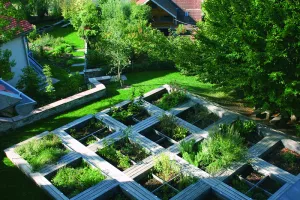 Visite libre des jardins du musée Oberlin