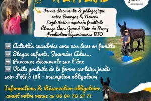 Activités estivales à la ferme 2026