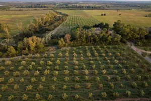 Domaine Jolibois