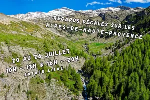 HAUT DE VIE