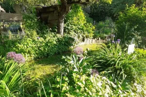 Rendez vous au Jardin des Grandes oreilles