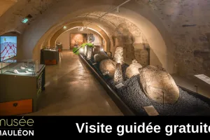 Visite guidée du Musée L'Abbaye