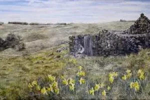 Exposition peintures : sous le souffle de l'écir - Cathy CAVALIER