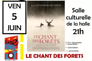 Ciné-Lot : "Le chant des forêts"