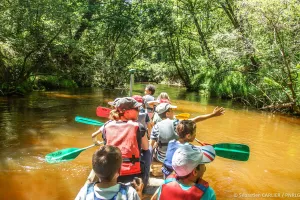 Balade contée en canoë collectif - Thématique Bernache