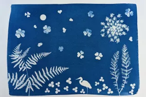 Initiation au cyanotype : autour du végétal