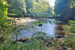 Balade bien-être au fil de l'eau - Juin