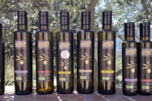 *IMMERSION AU CŒUR DE L'OLIVERAIE : VISITE ACCOMPAGNÉE DU MAS PY ET DÉGUSTATION D'HUILE D'OLIVE D'EXCEPTION