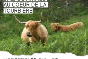 Balade animée au coeur de la tourbière