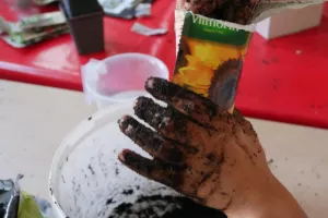 Atelier en famille - Histoire de la biodiversité dans le jardin du musée de l'Ancien Évêché