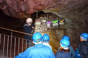 Nuit internationale de la chauve-souris
aux Hautes-Mynes du Thillot