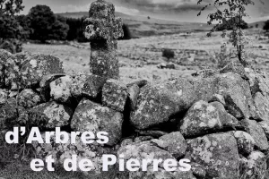 d'Arbres et de Pierres