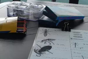"Atelier Petites bêtes" - Jeudi au Moulin