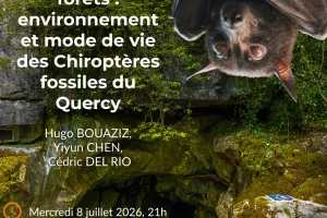 Conférence à Cajarc : "Des grottes aux forêts : environnement et mode de vie des Chiroptères ...."