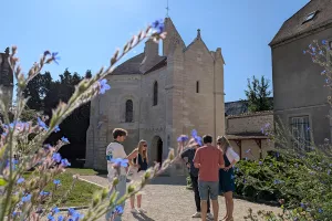 Visite guidée de la cité médiévale de Laon