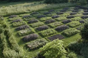 Promenade-découverte au jardin d'hélys-oeuvre